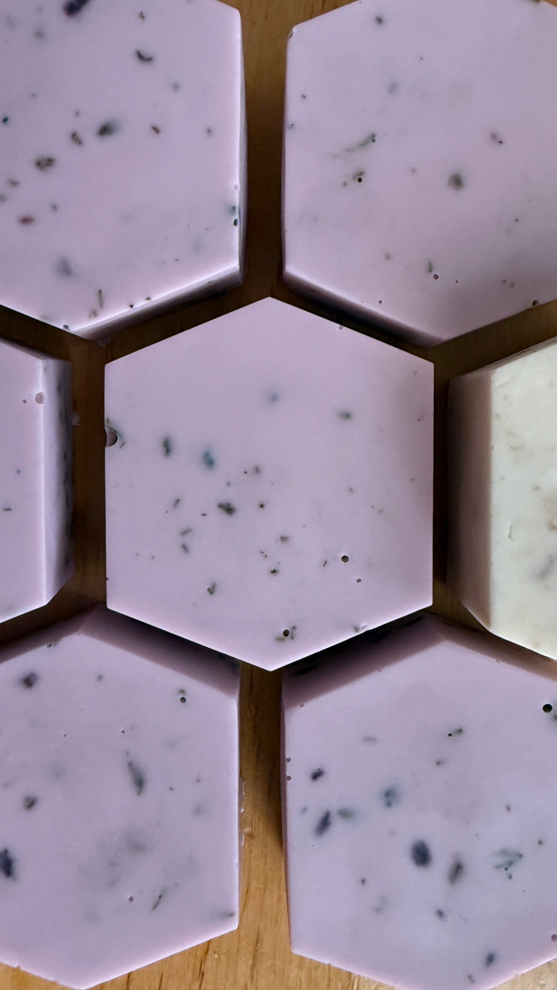 Lavanda